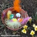 Hnízdo u rozkvetlých krokusů